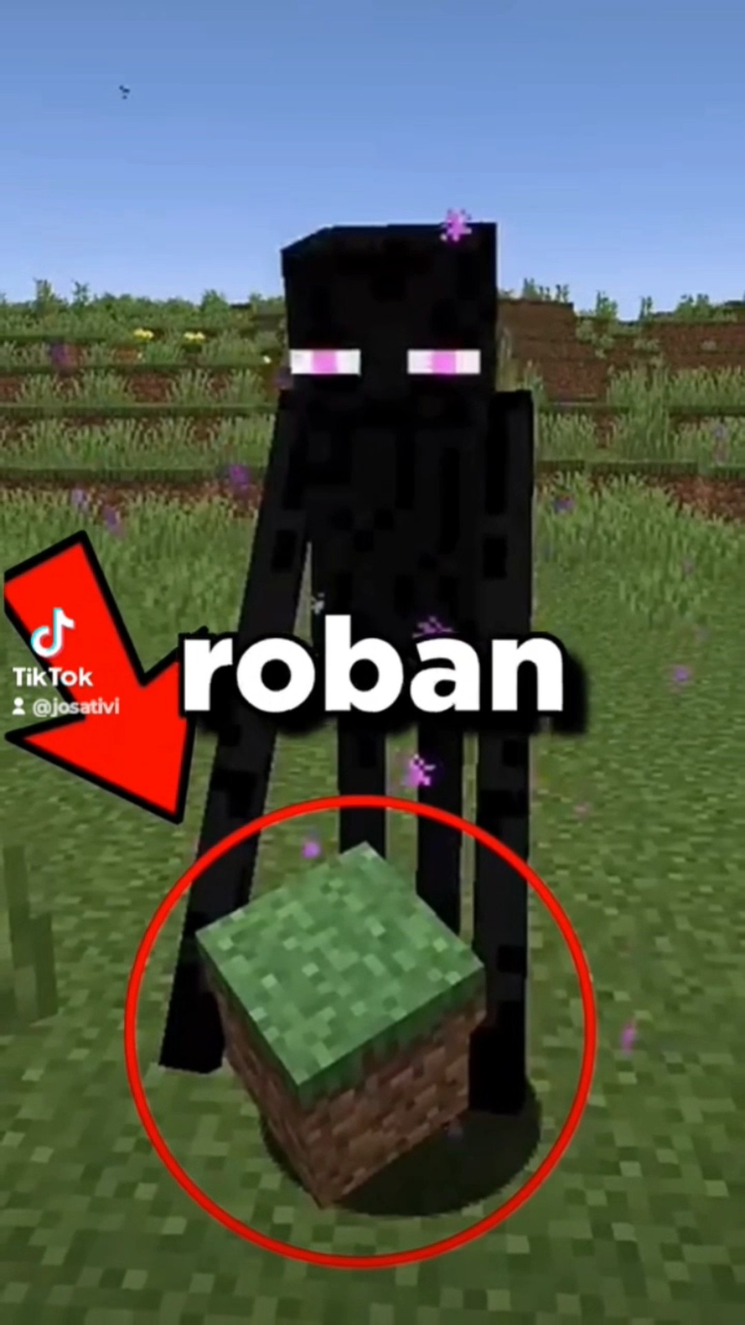 ¿Por qué los endermans roban bloques? ? #minecraft #josativi #youtube #shorts #miedo #terror